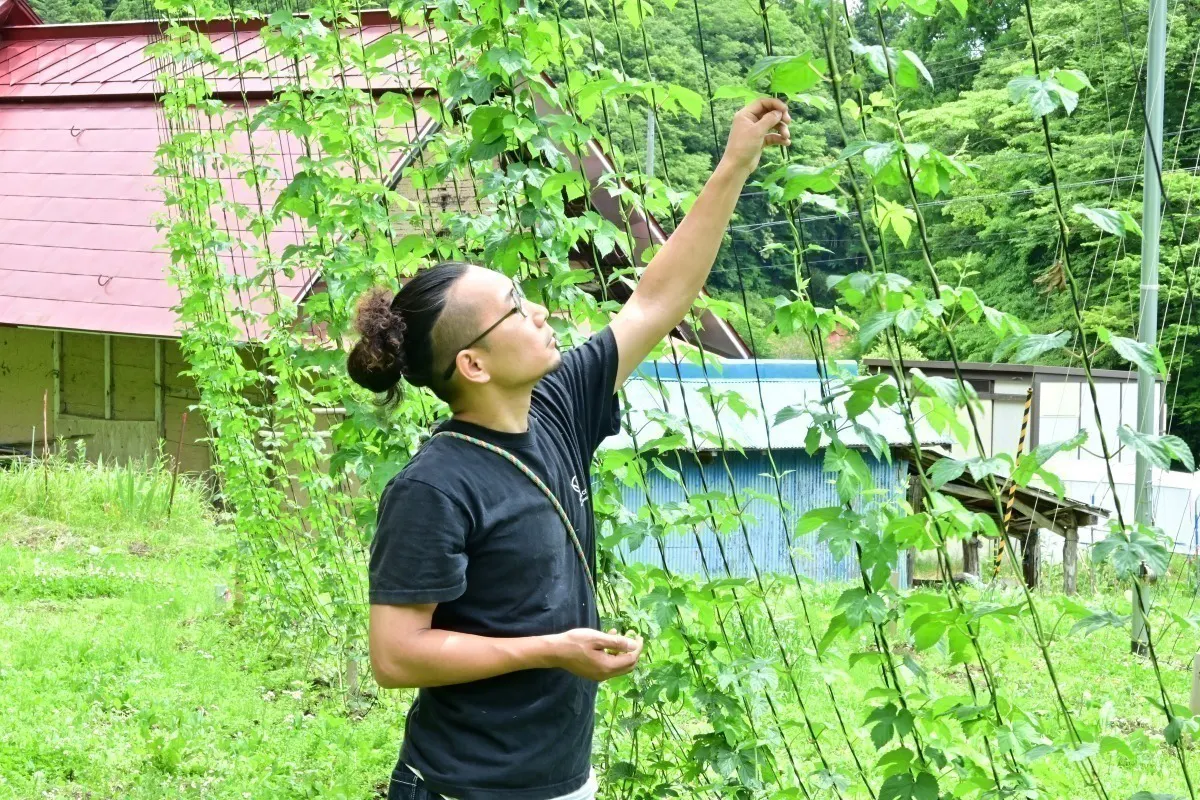 3番目のメイン画像