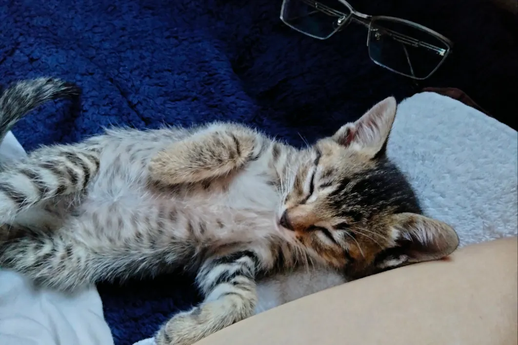 1番目のメイン画像