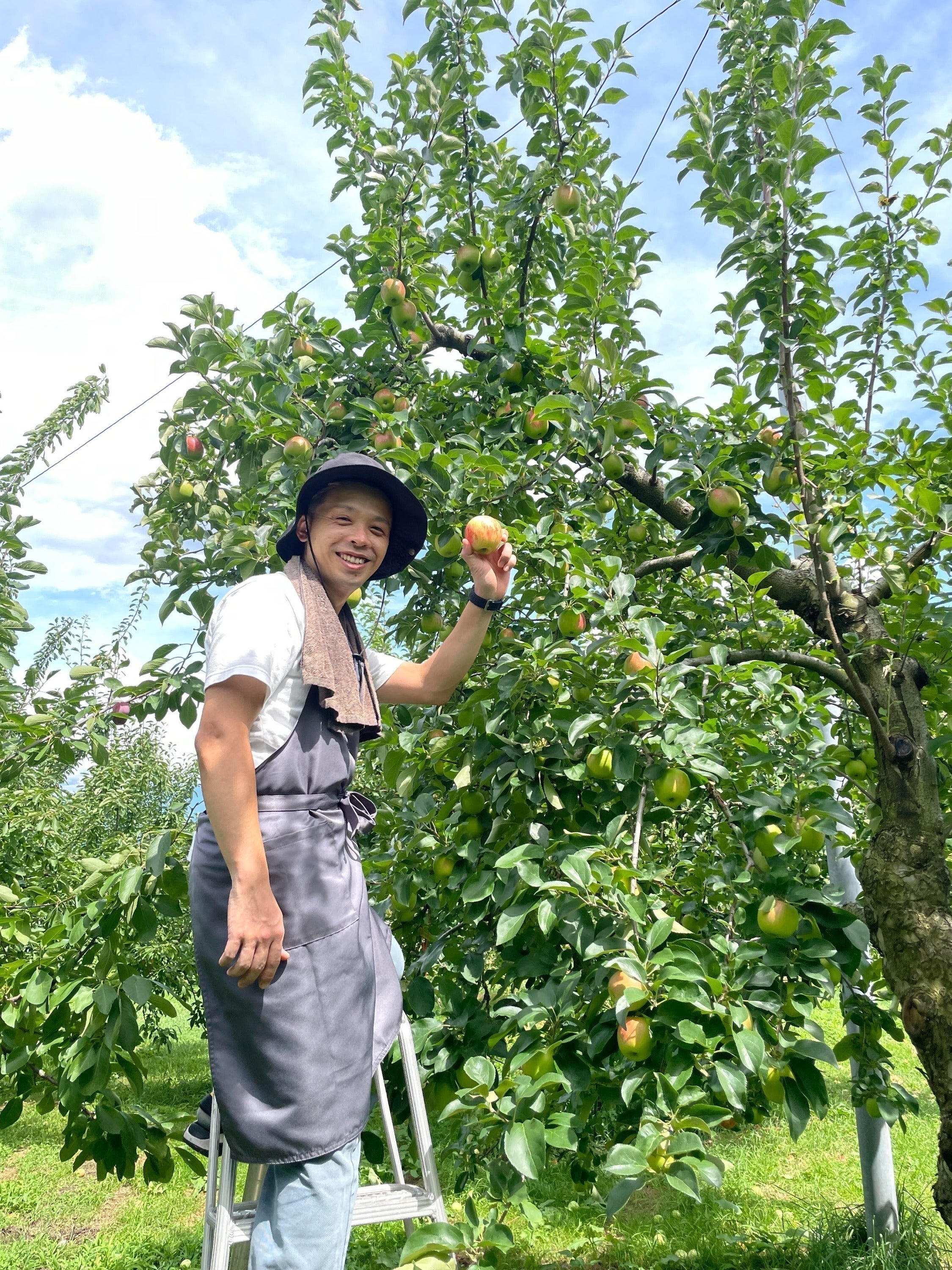 5番目のメイン画像