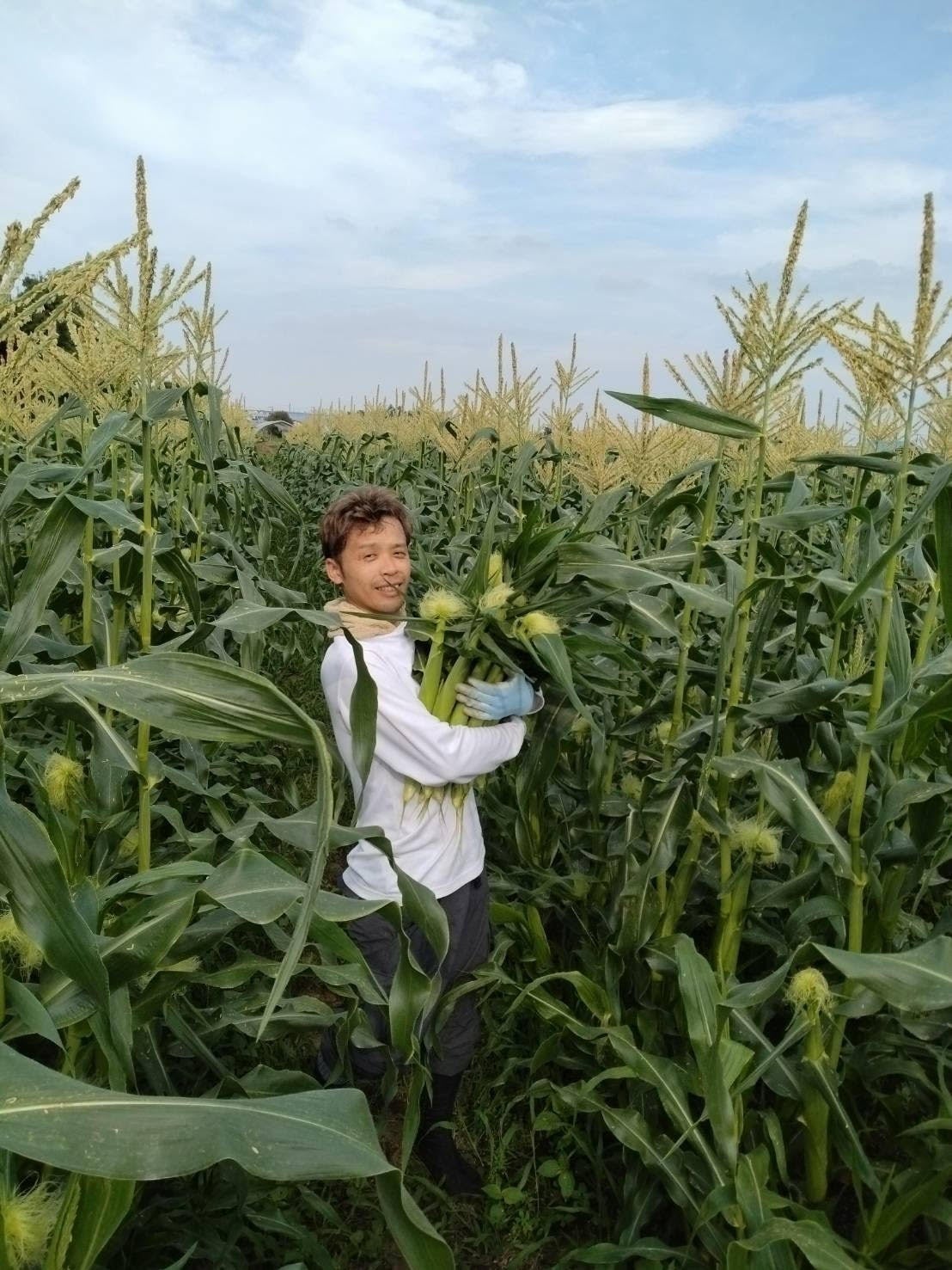 3番目のメイン画像