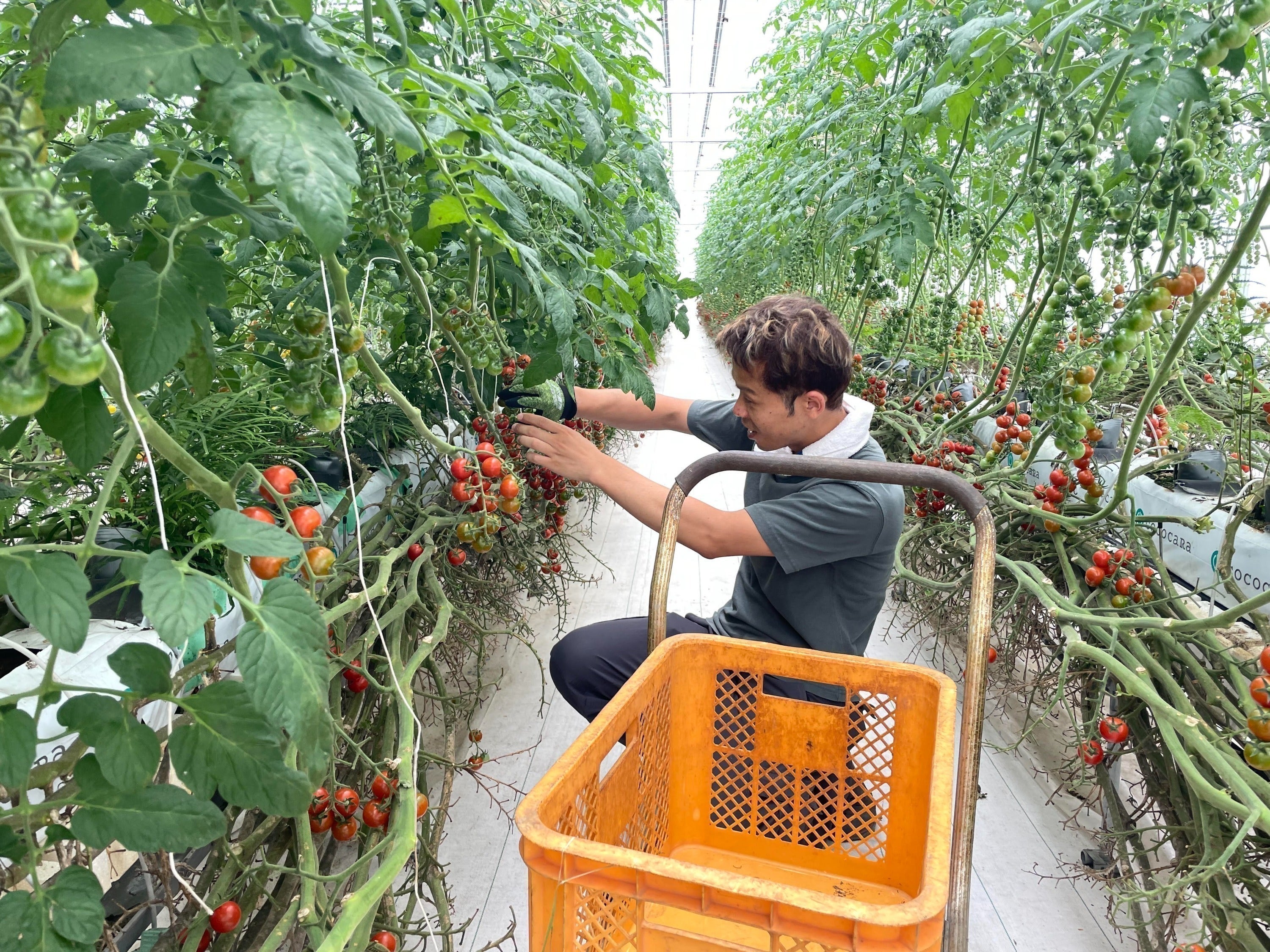 4番目のメイン画像