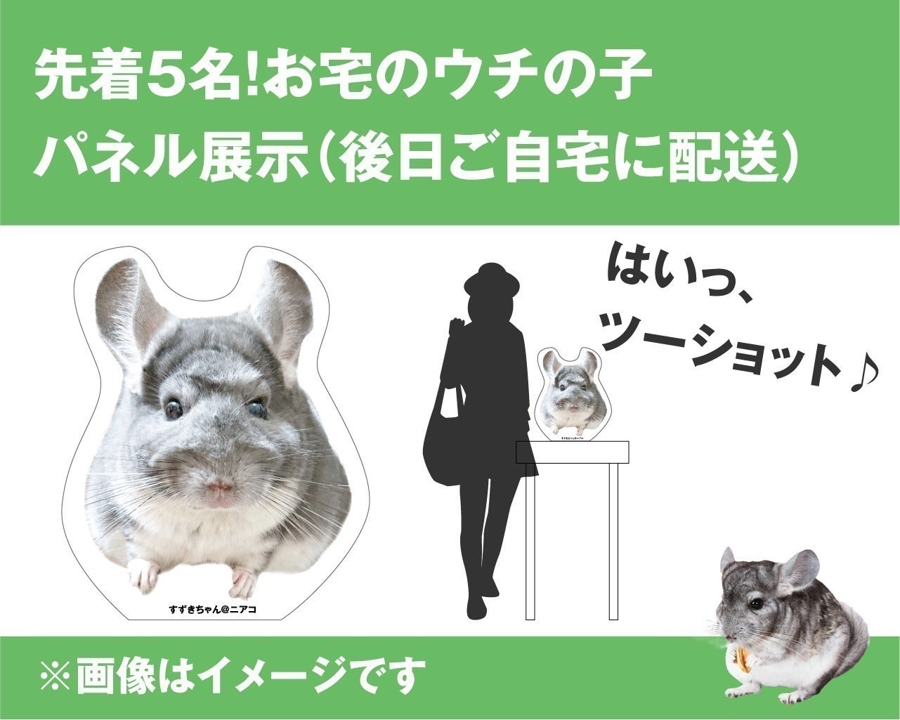 ちぃ様　チンチラちゃん専用のページ 2025年3月に第2回チンチラチラチラを開催したい！プロジェクト