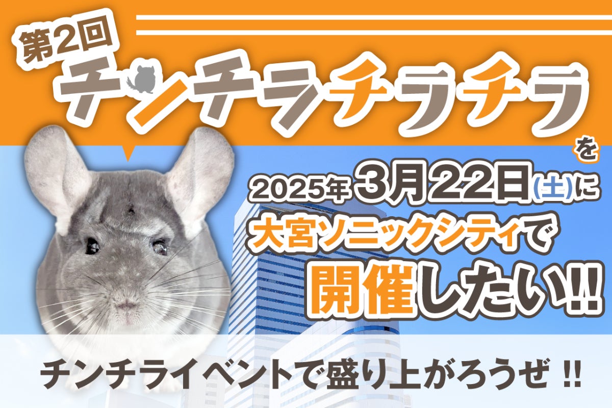 2025年3月に第2回チンチラチラチラを開催したい！プロジェクト