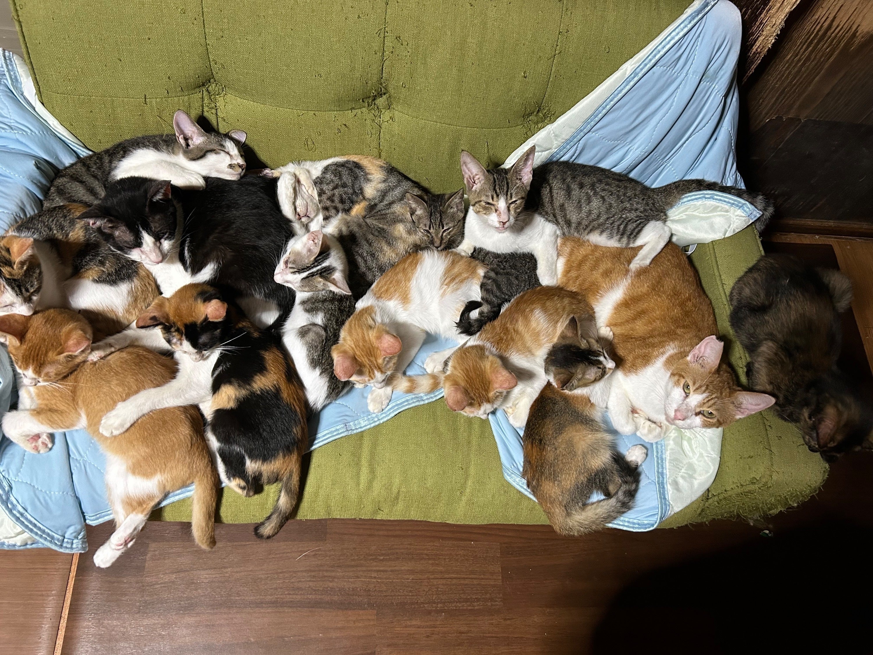 5番目のメイン画像