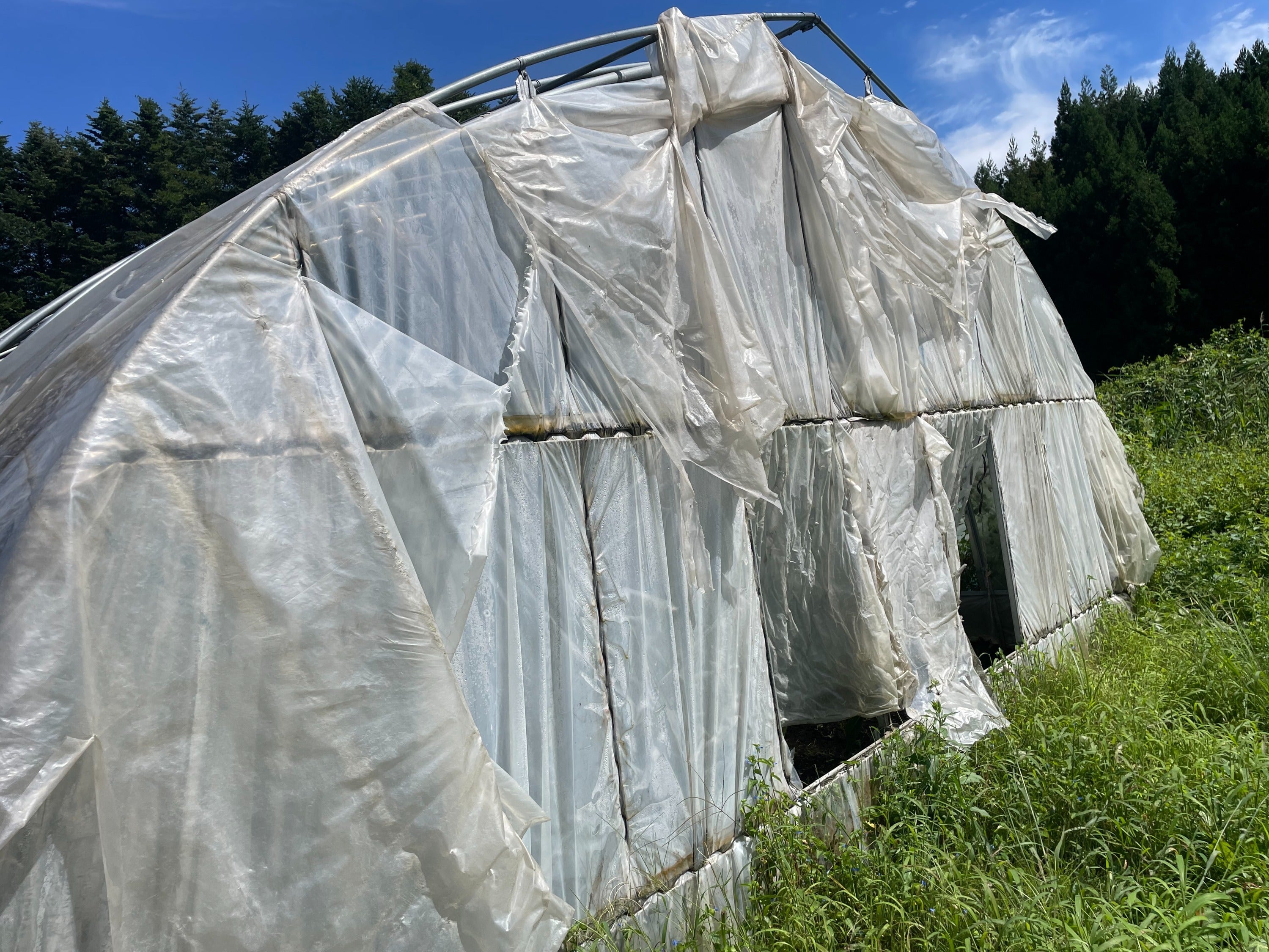 5番目のメイン画像