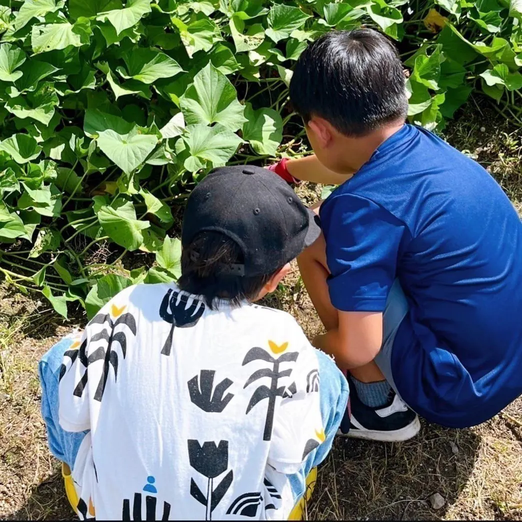 3番目のメイン画像