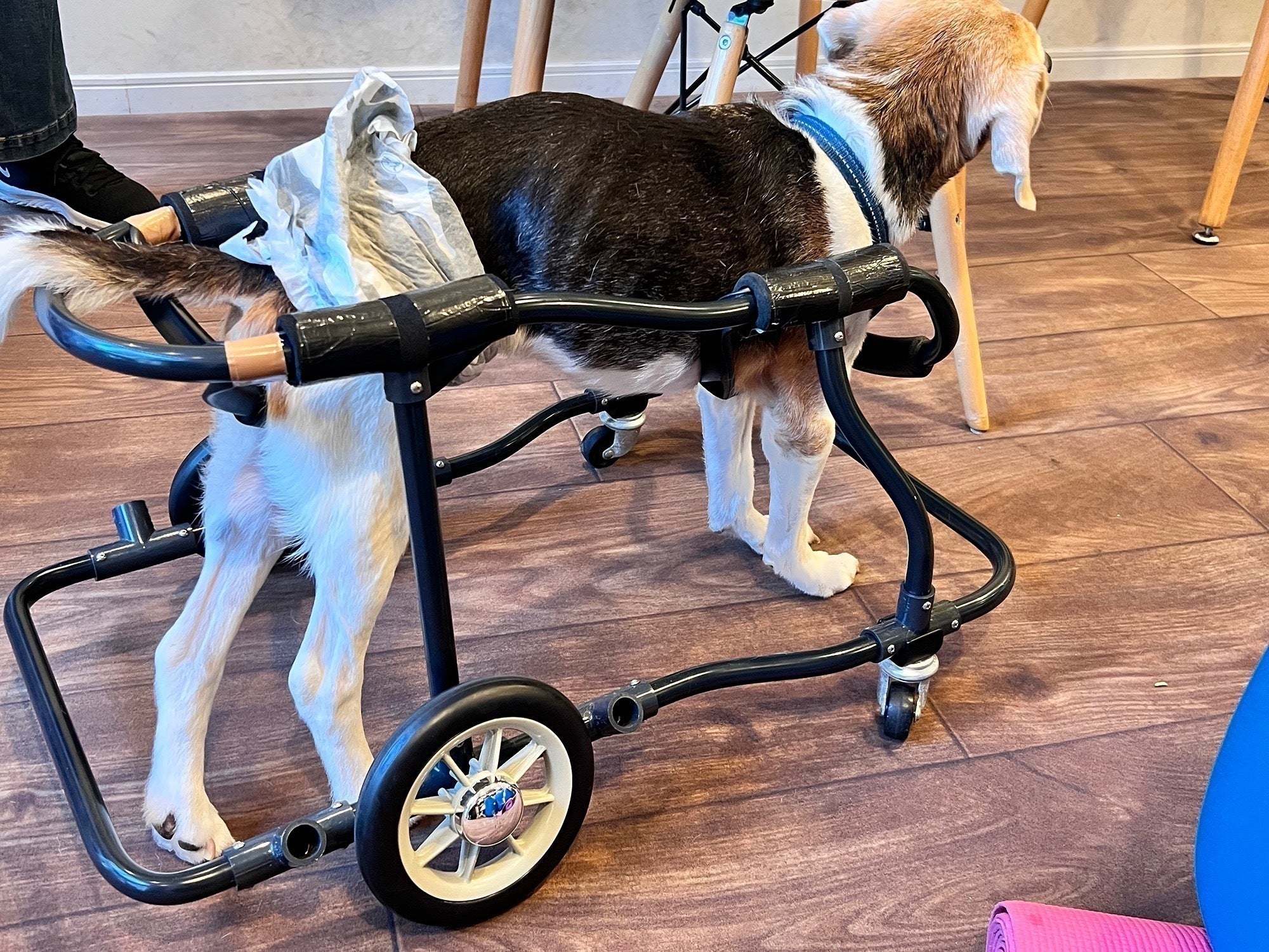 5番目のメイン画像