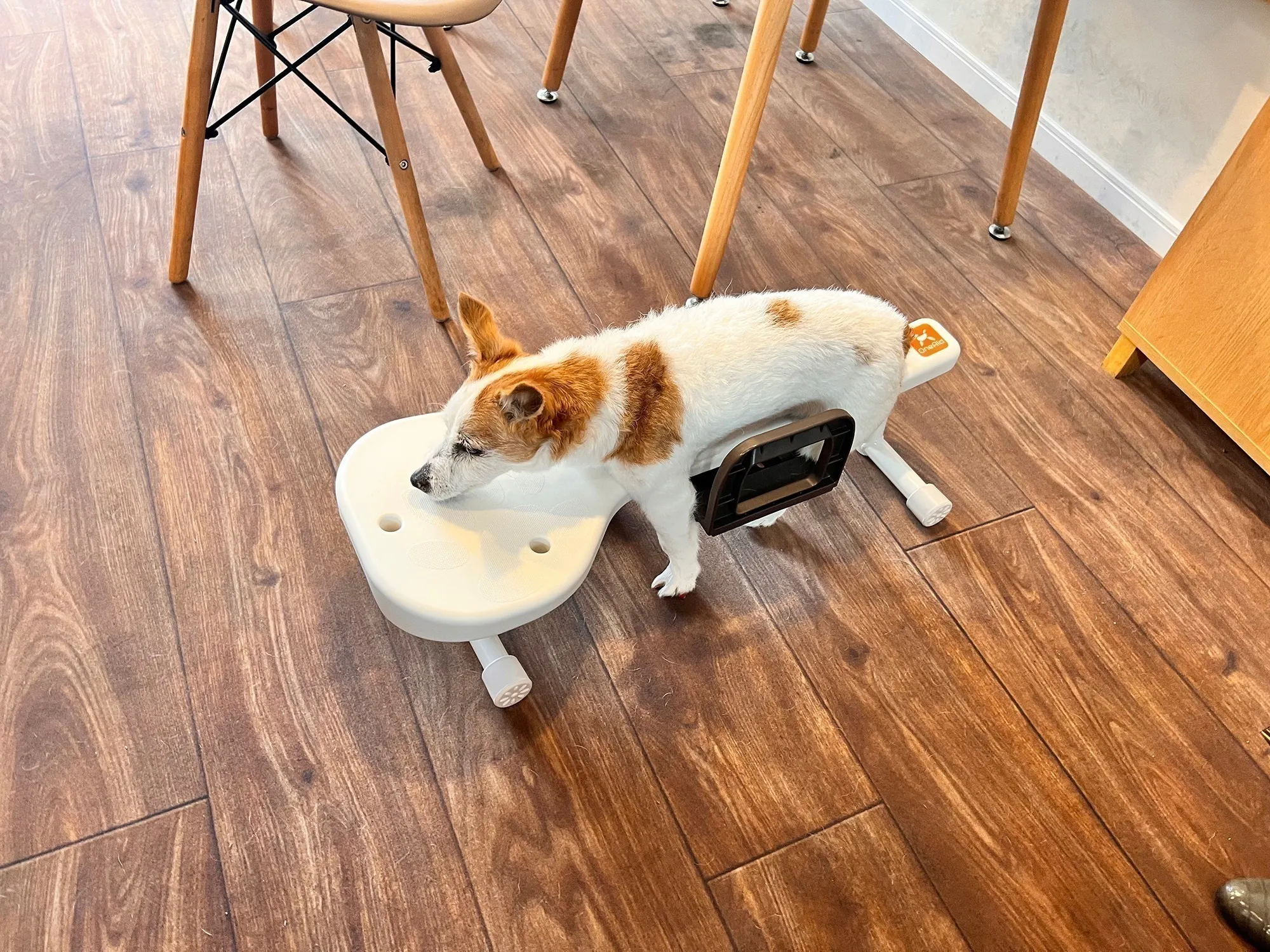 2番目のメイン画像