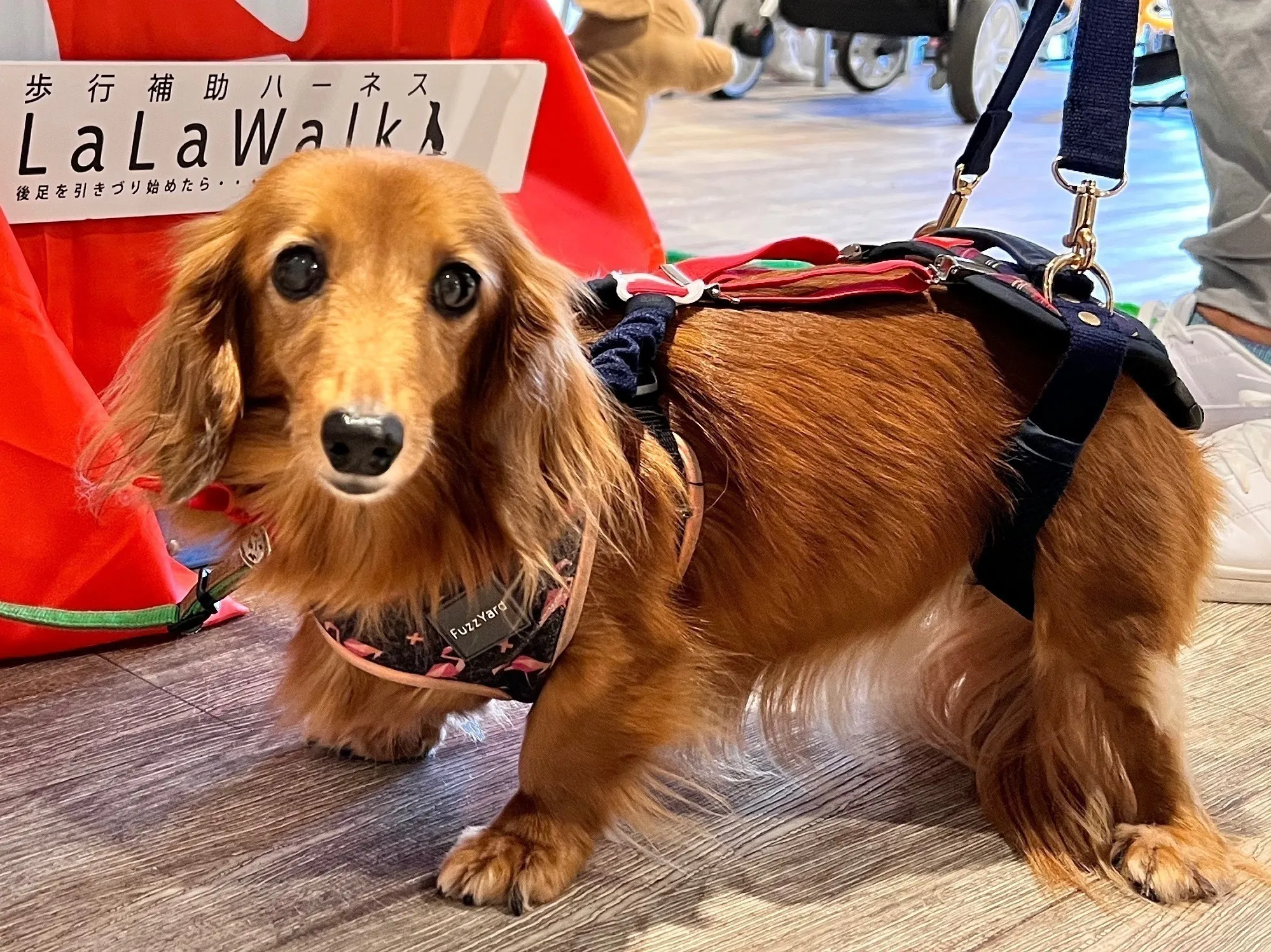 4番目のメイン画像