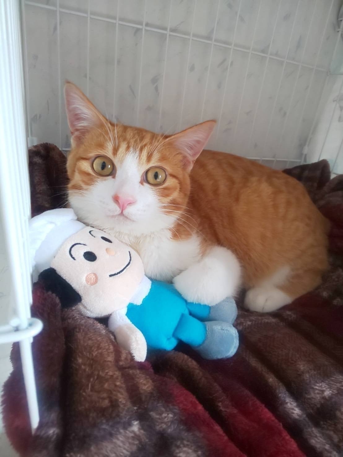 5番目のメイン画像