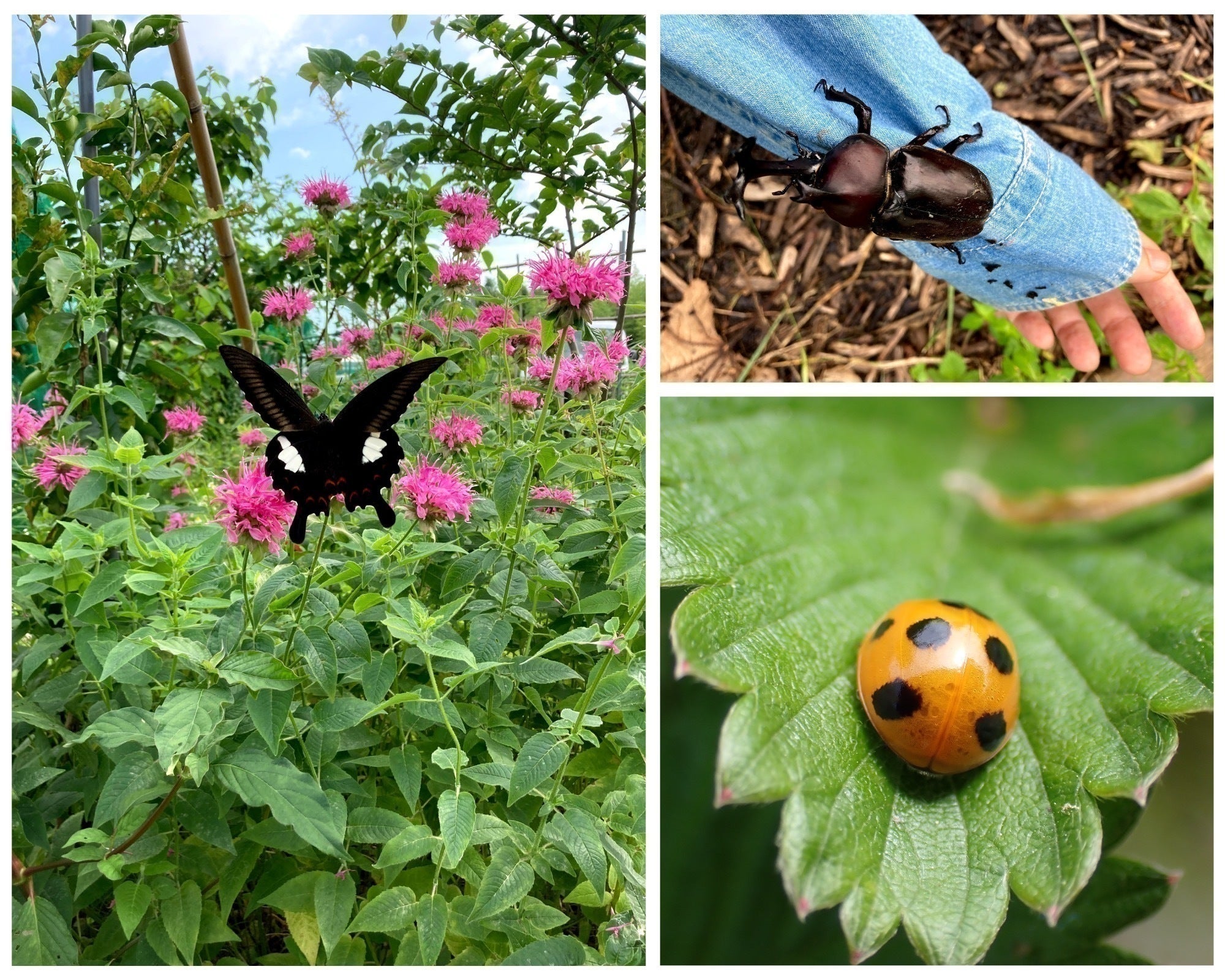 5番目のメイン画像