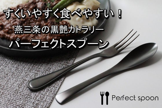 【黒艶x機能性】 ずっと美味しい!元のスプーンに戻れない |パーフェクトスプーン