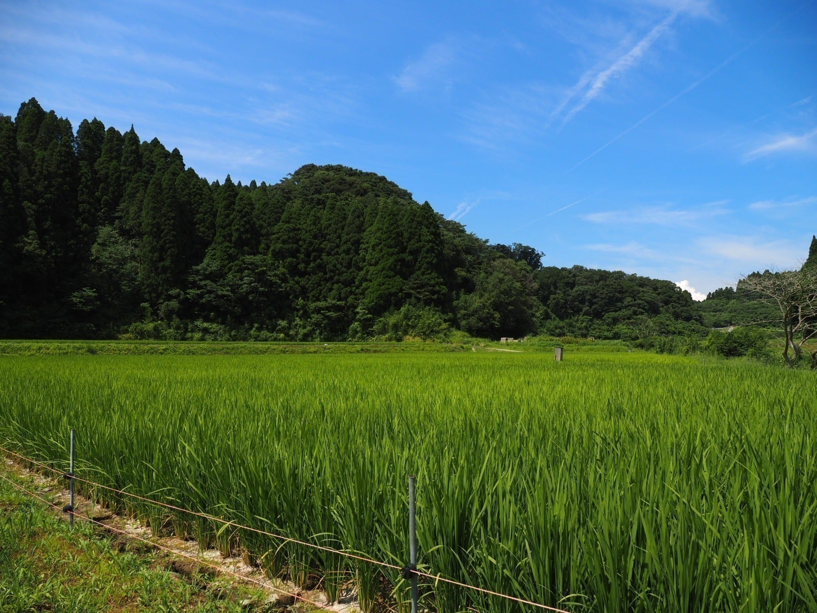 7番目のメイン画像