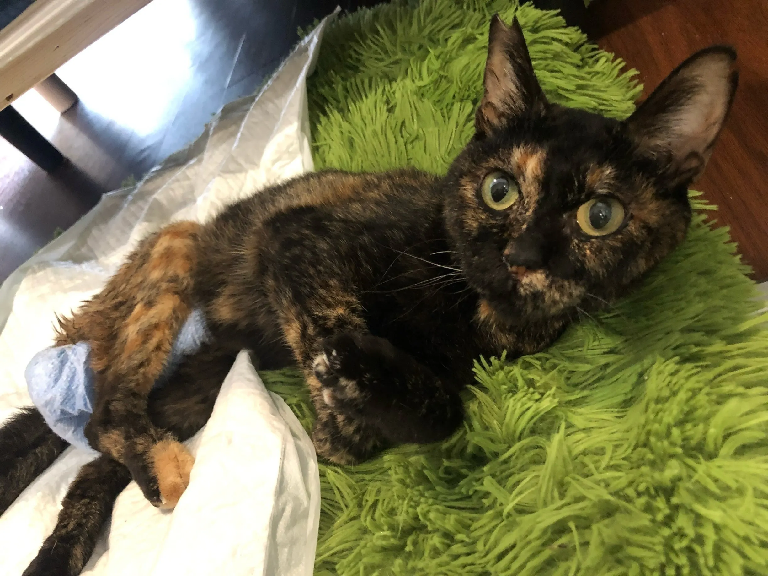 2番目のメイン画像