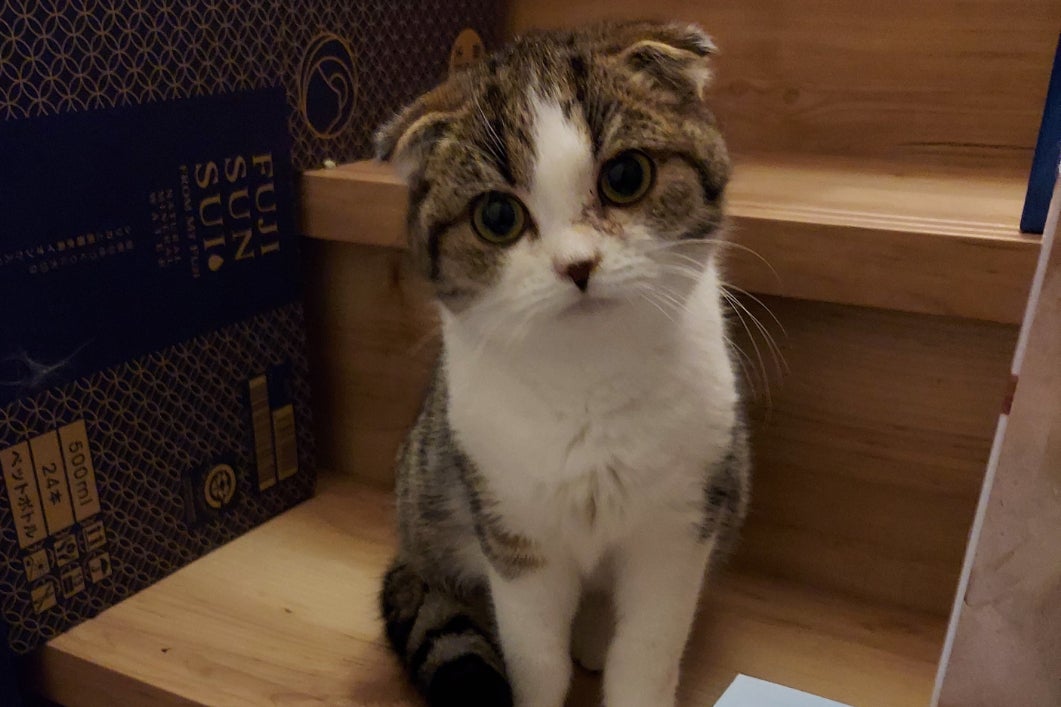 1番目のメイン画像