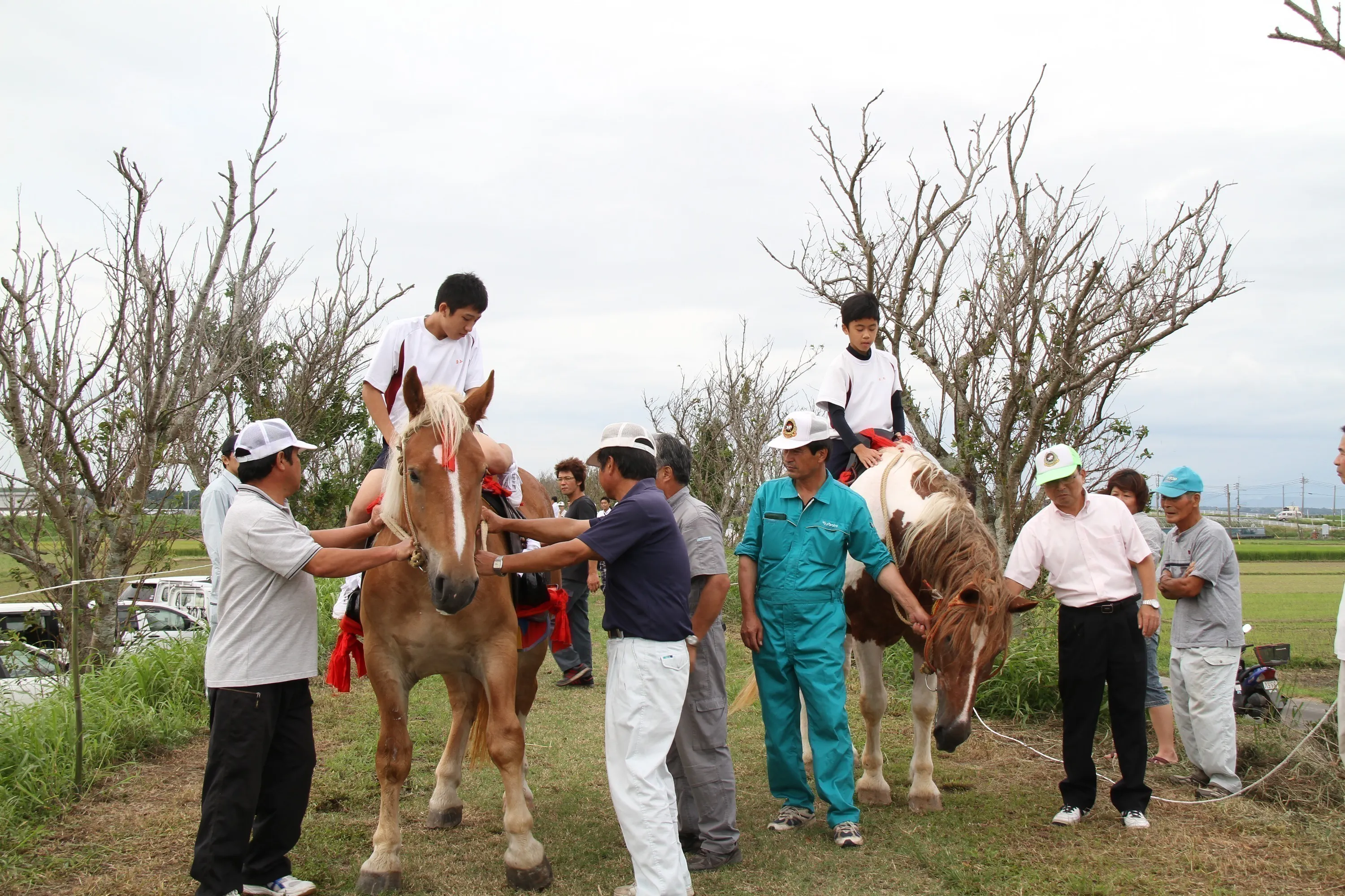 2番目のメイン画像