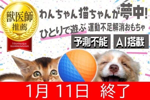 運動不足ストレス解消！おもしろ動作・視認性高めた犬猫ペット用AI
