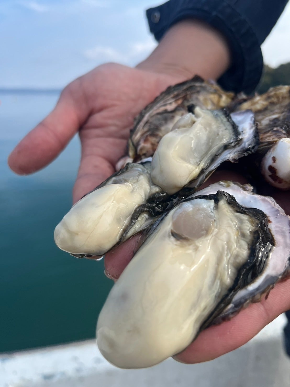 4番目のメイン画像