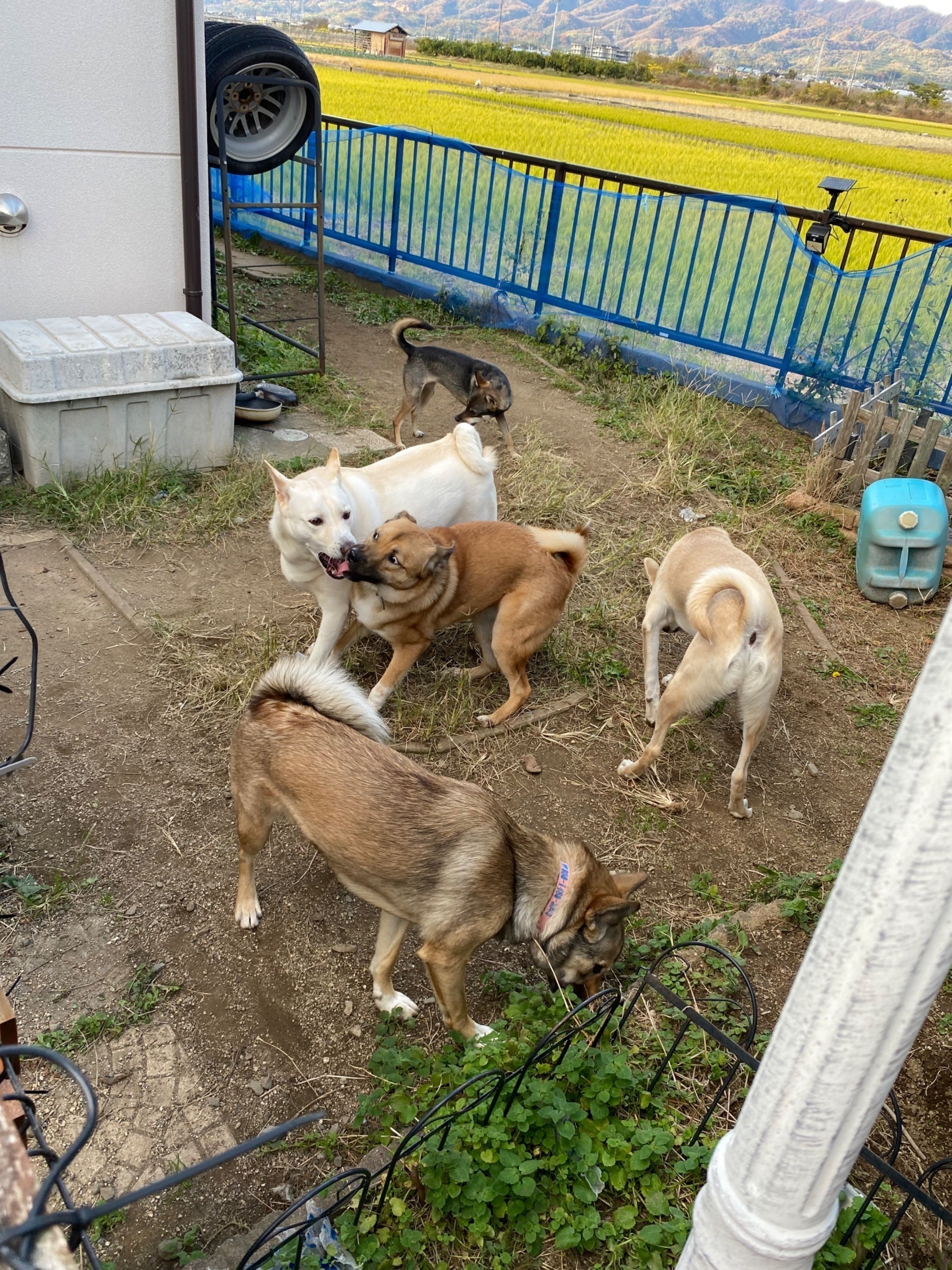 3番目のメイン画像