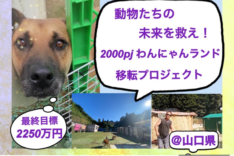 動物たちの未来を救え！2000pjわんにゃんランド移転プロジェクト