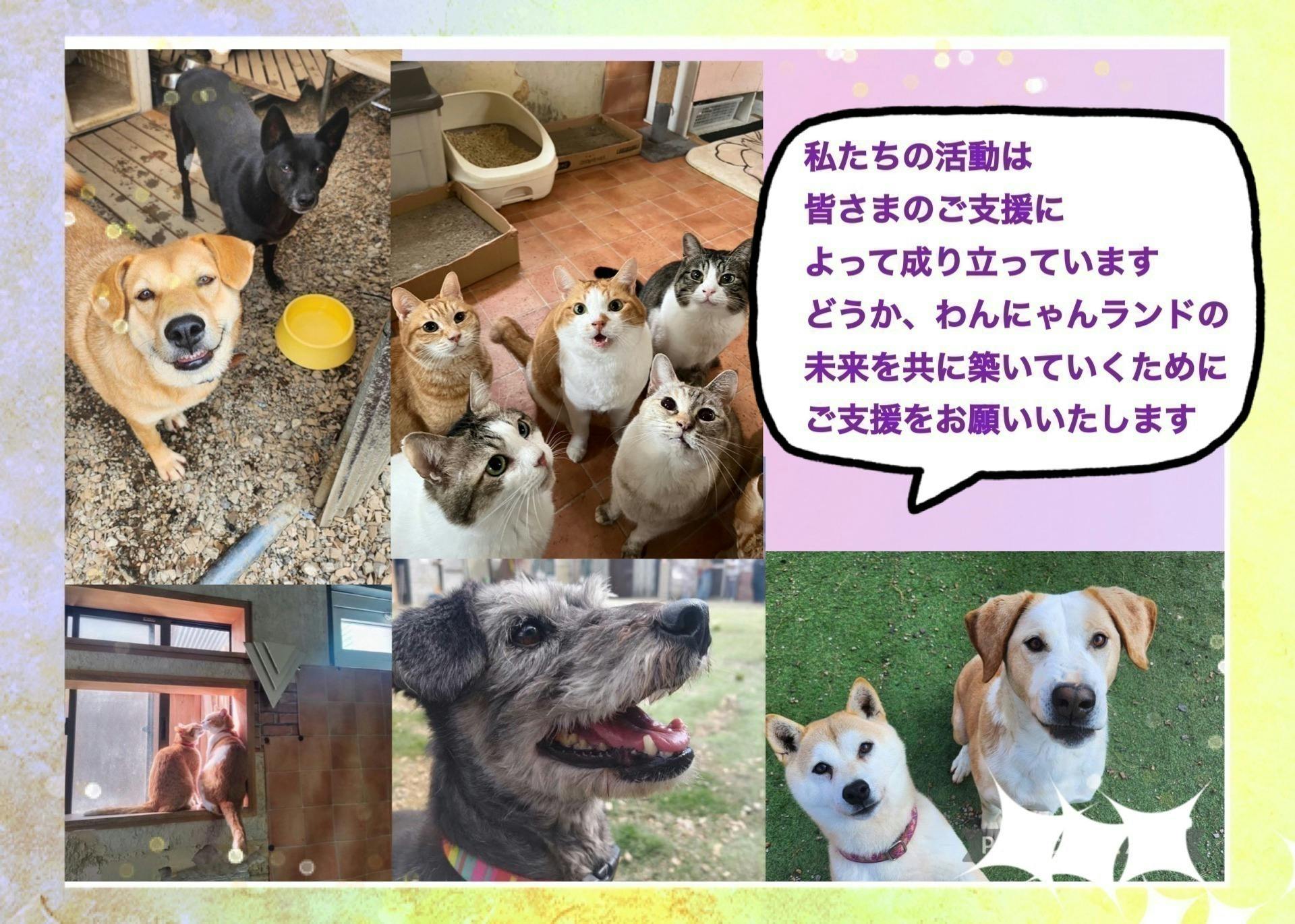 5番目のメイン画像