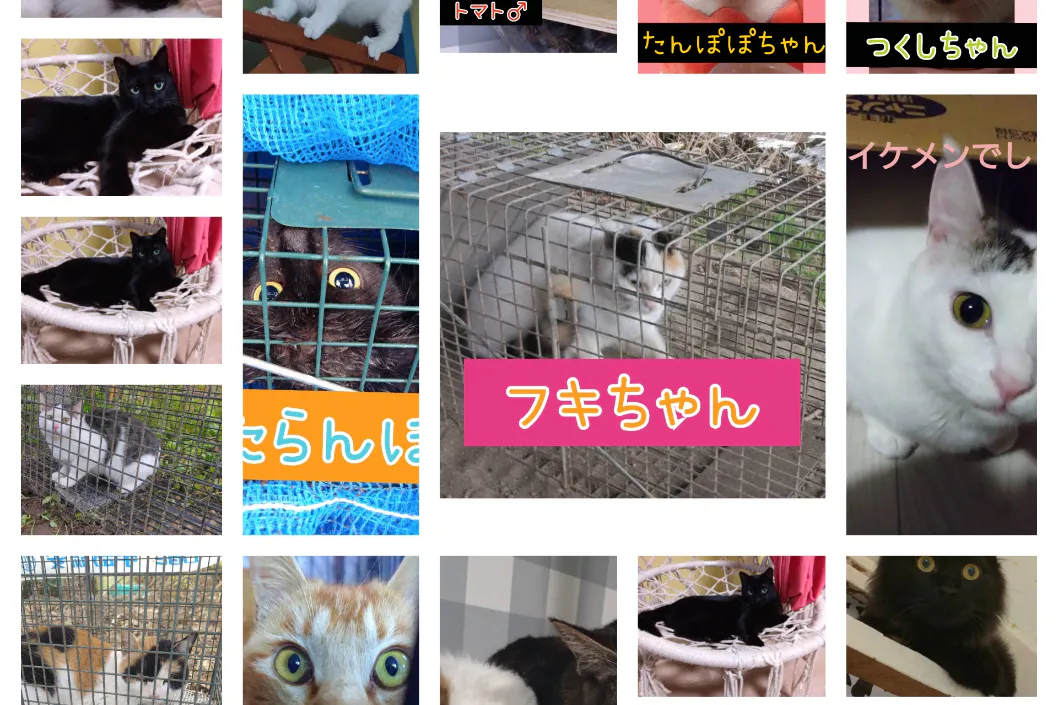 1番目のメイン画像