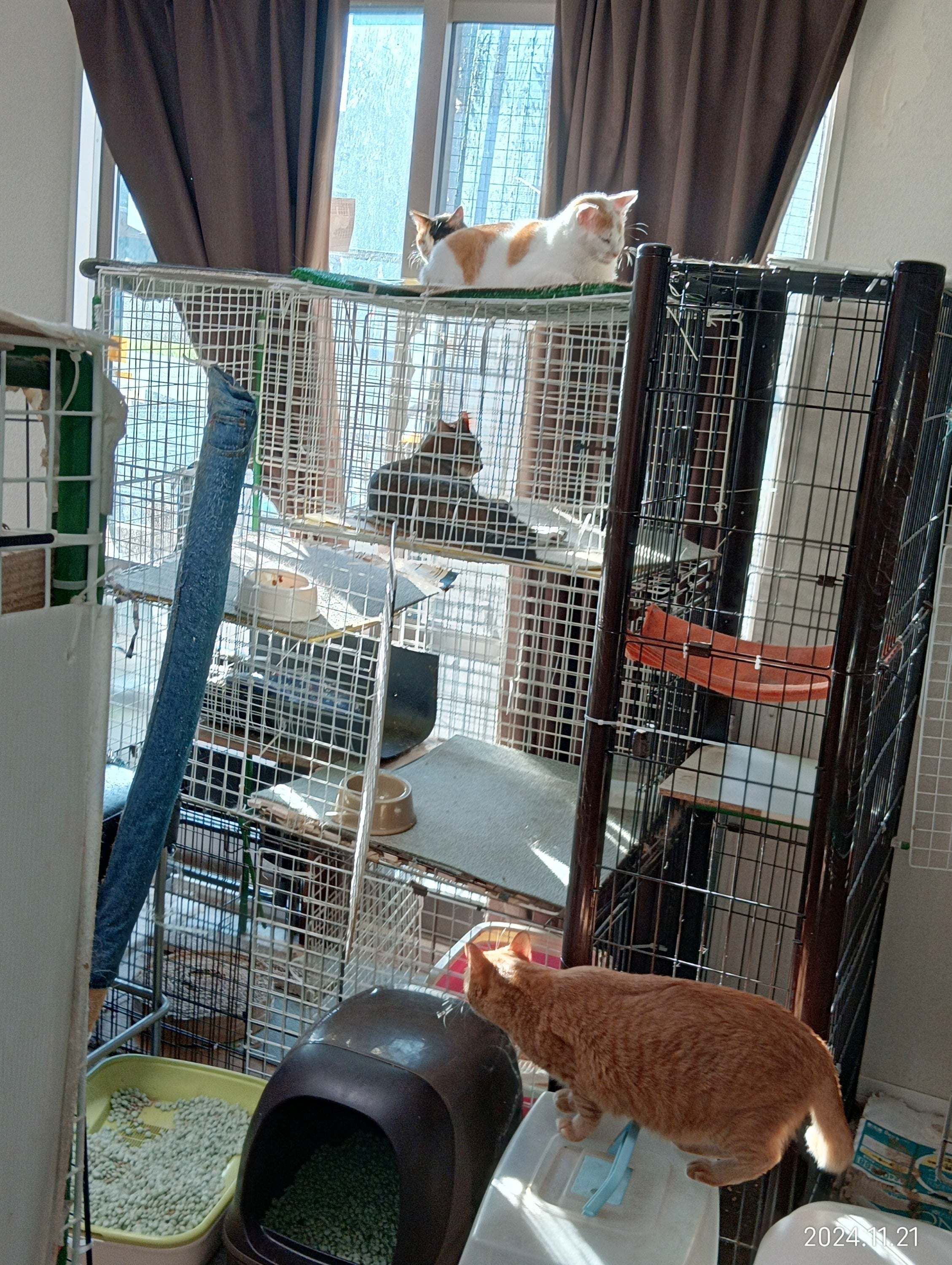 3番目のメイン画像