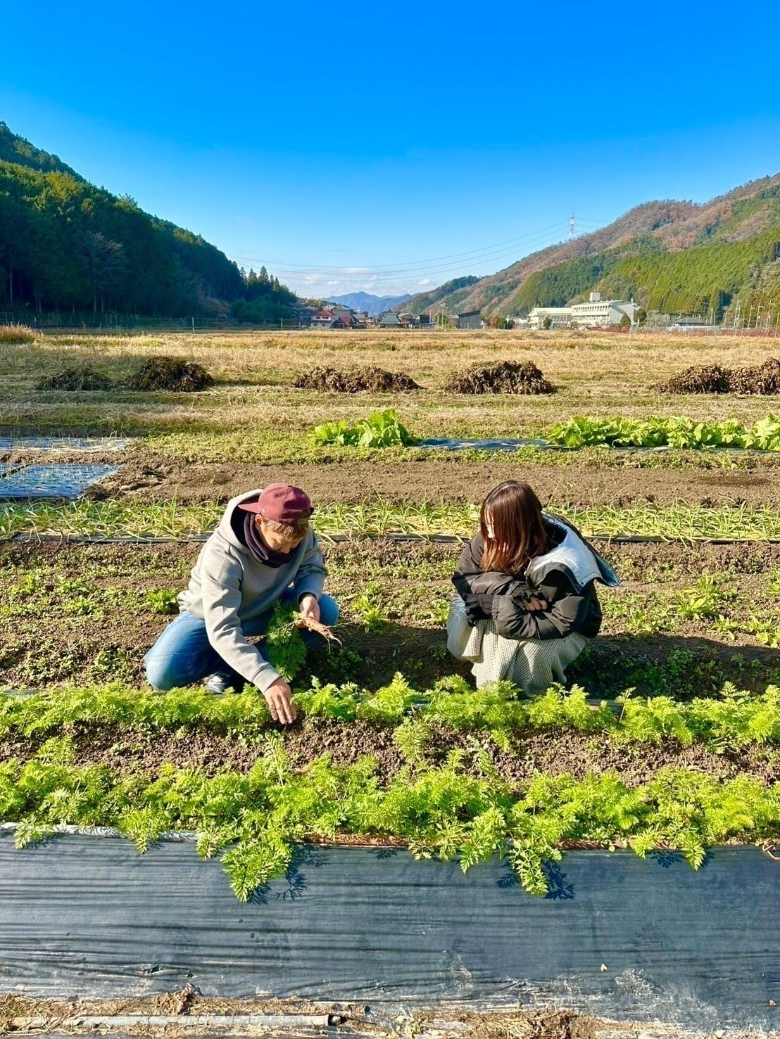 2番目のメイン画像