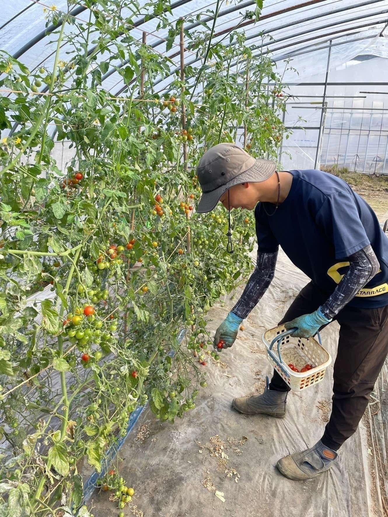 4番目のメイン画像