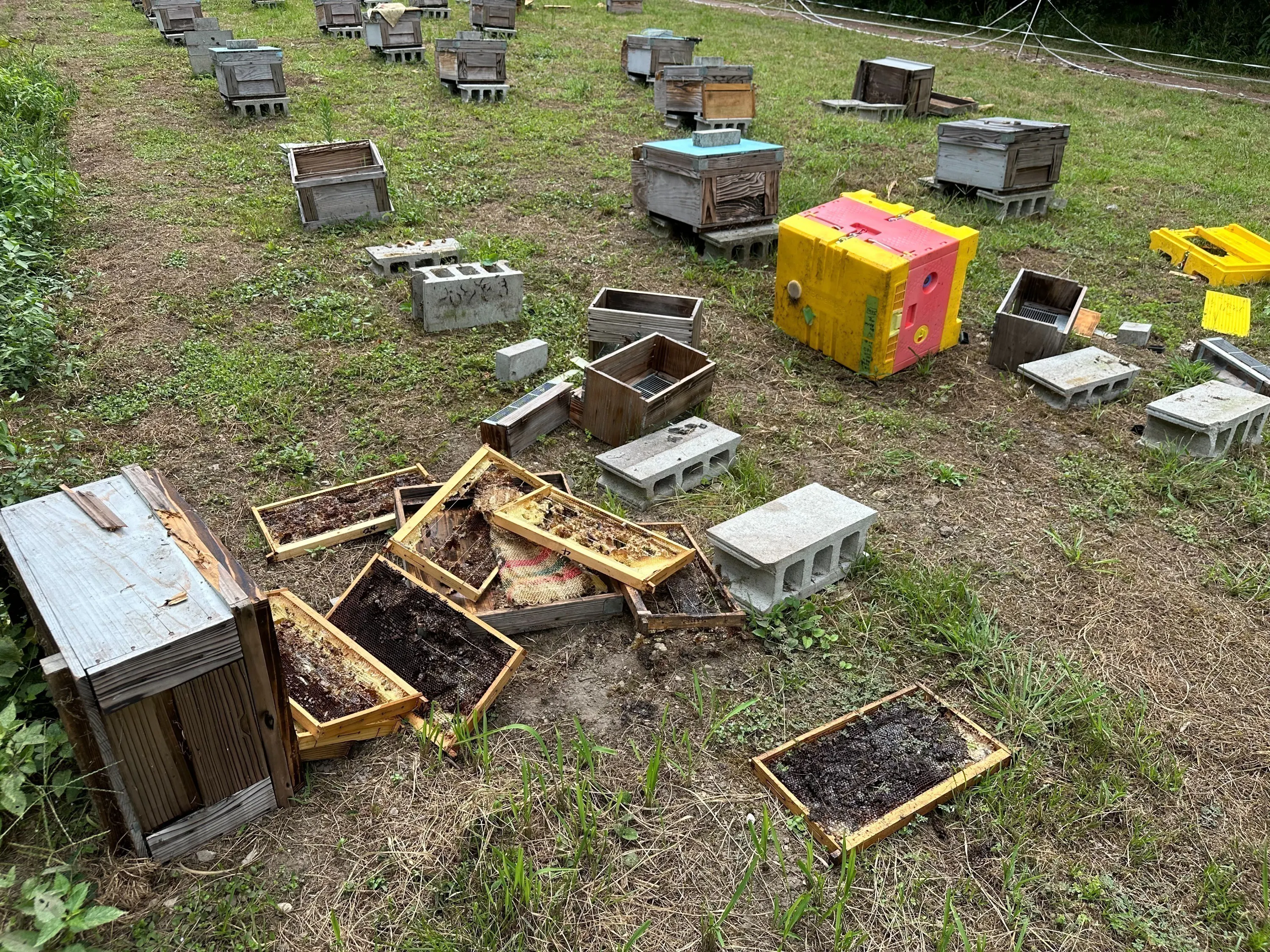 4番目のメイン画像