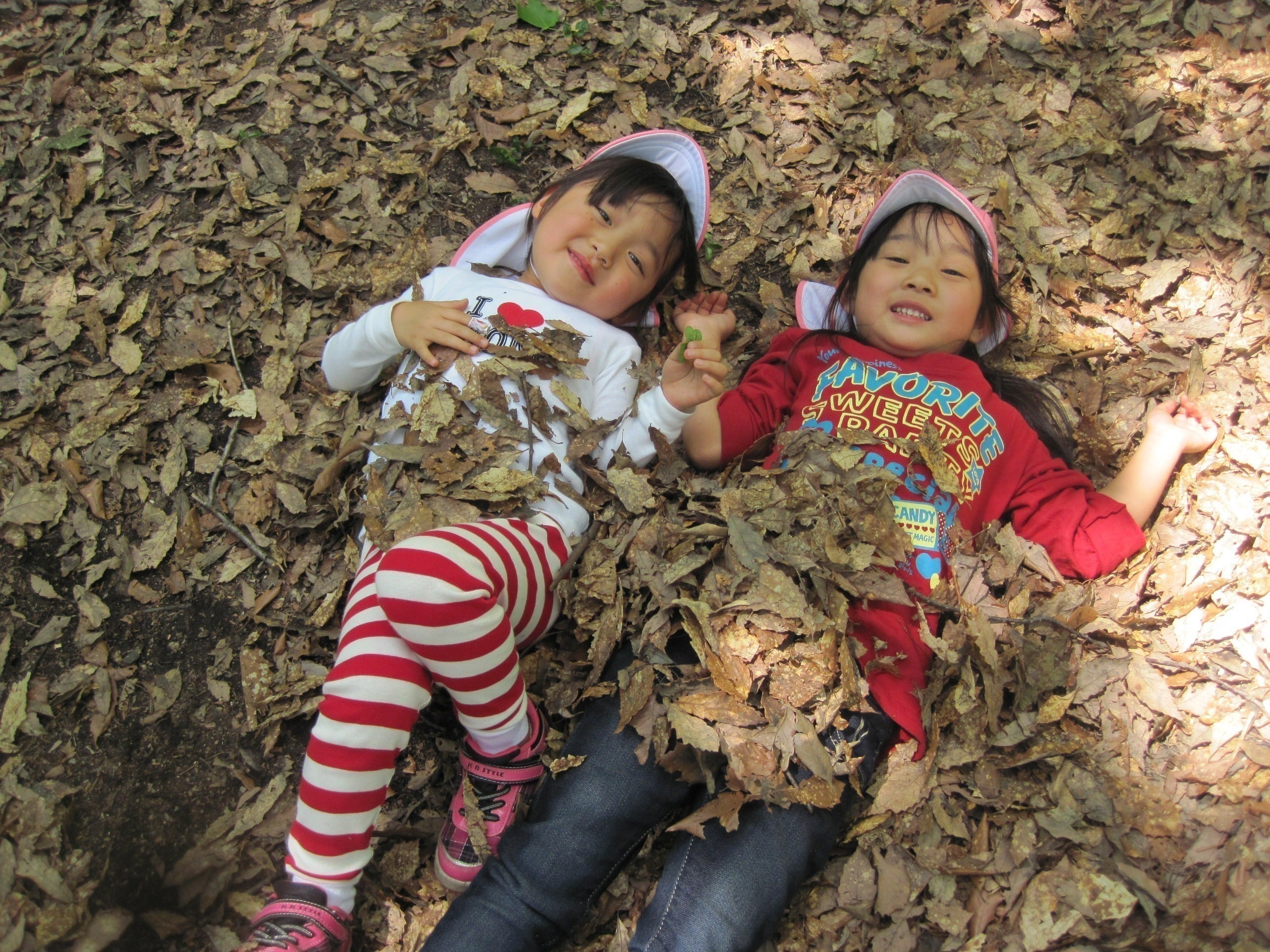 4番目のメイン画像