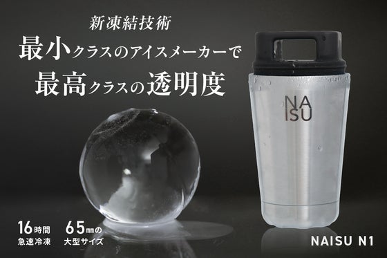 NAISU N1