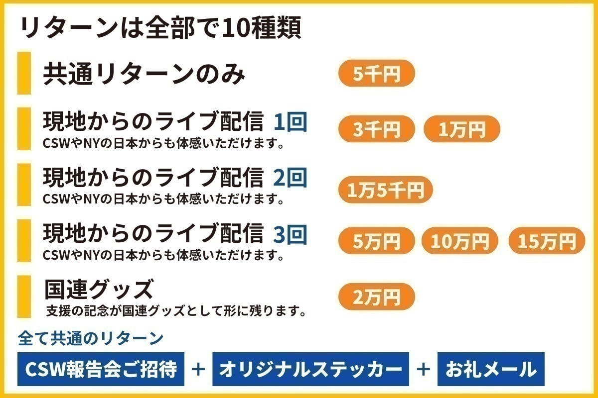 国連女性の地位委員会に参加して、ジェンダー平等に関する若者の声を届けたい！ - CAMPFIRE (キャンプファイヤー)