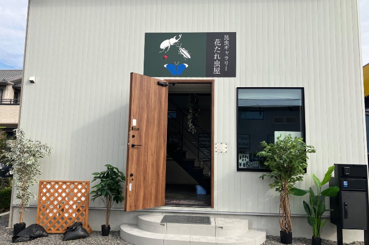 1番目のメイン画像