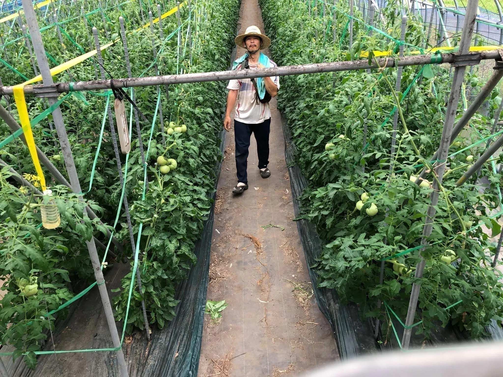 4番目のメイン画像