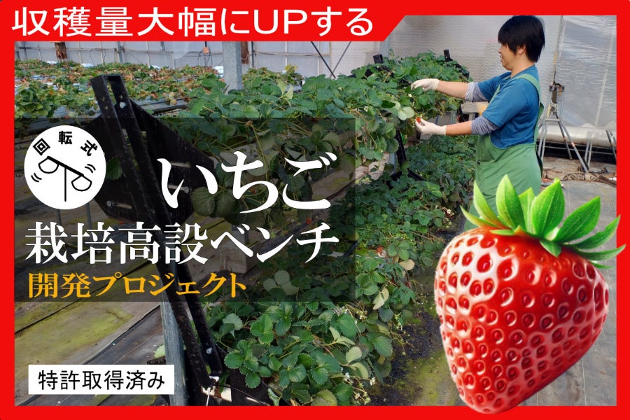 日本のイチゴ栽培の未来のために、革新的なイチゴ栽培ベンチに開発にご