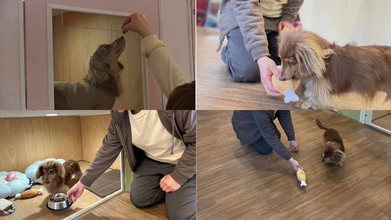 3番目のメイン画像