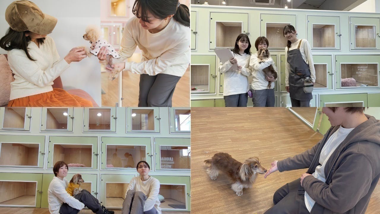 2番目のメイン画像