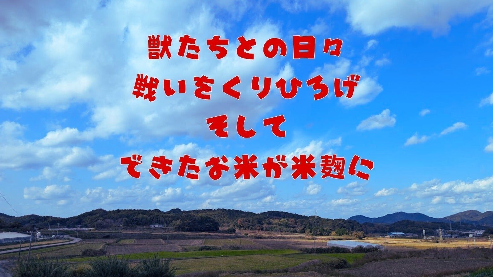 5番目のメイン画像