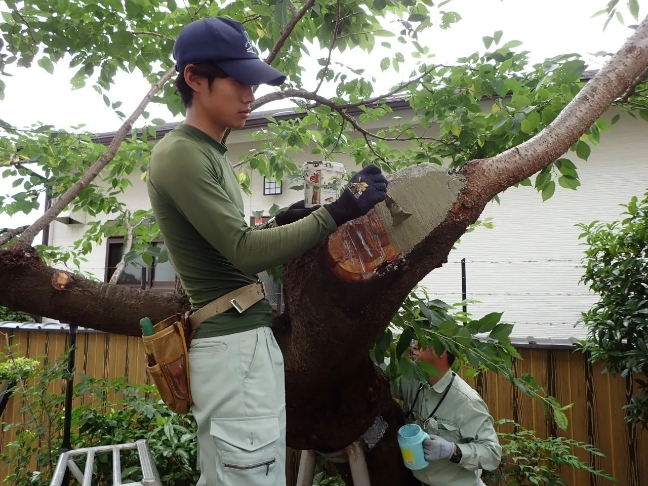 2番目のメイン画像