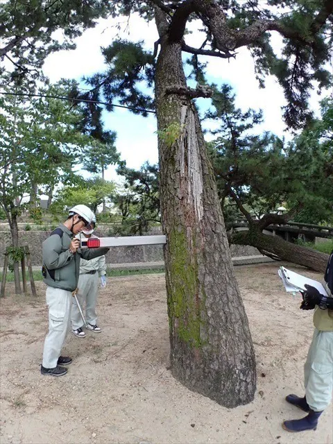 4番目のメイン画像