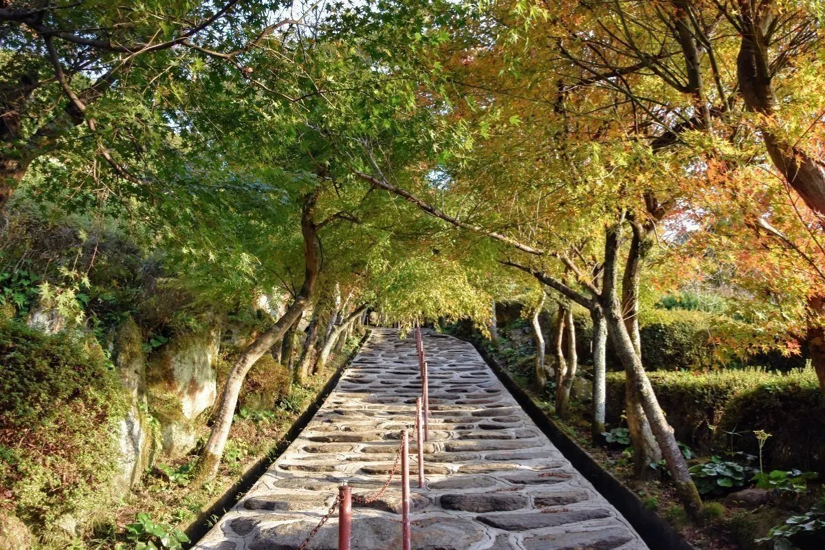 5番目のメイン画像