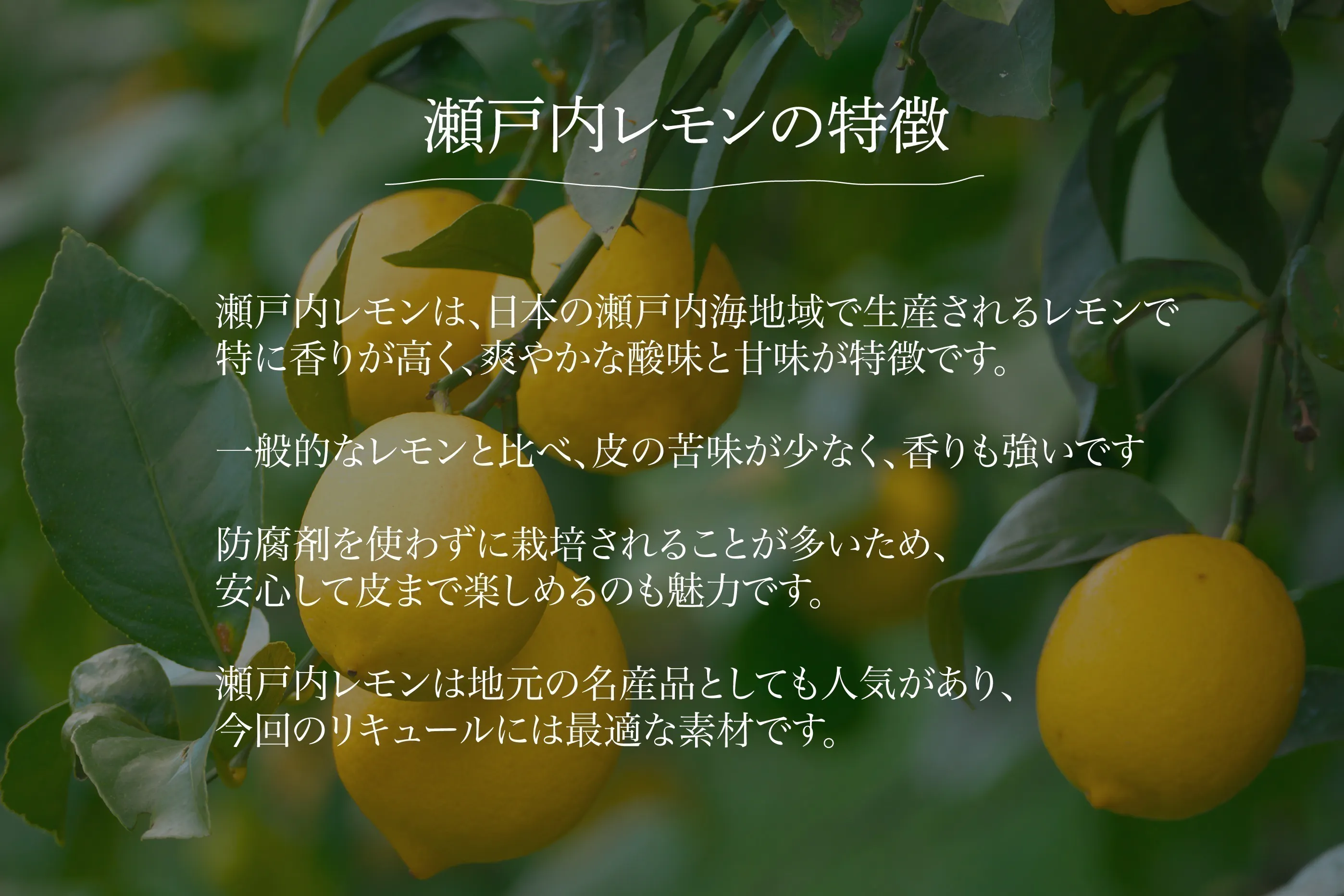 2番目のメイン画像