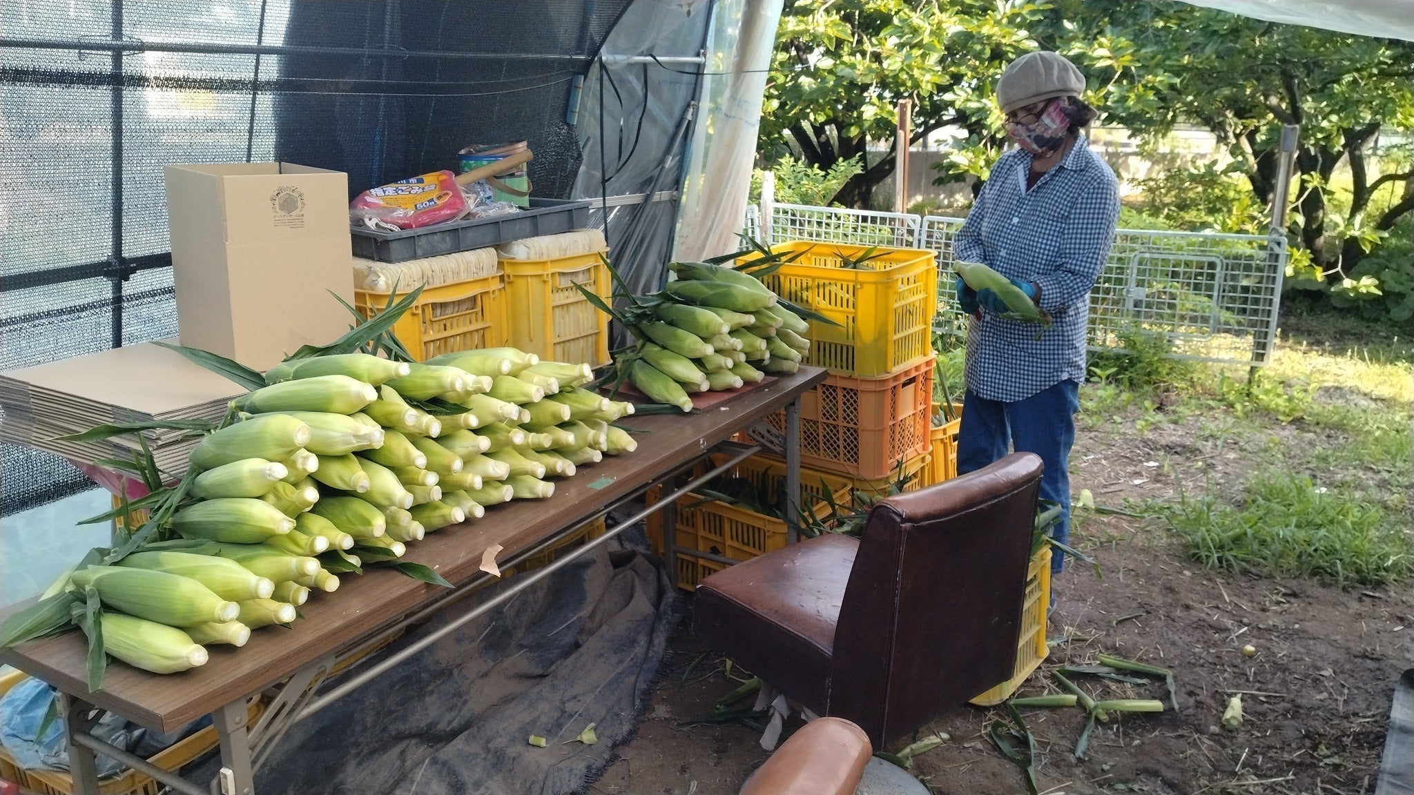 3番目のメイン画像