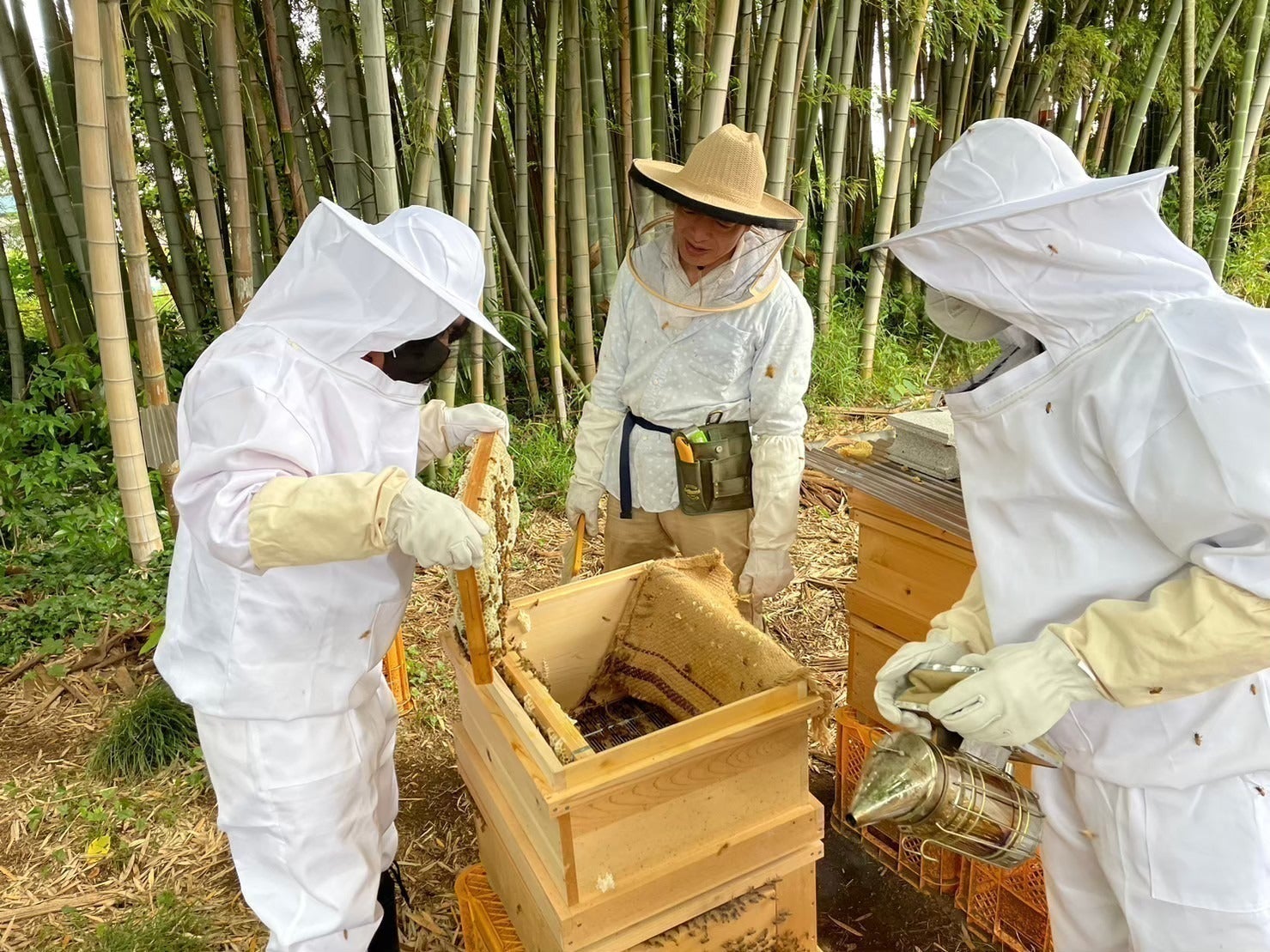 4番目のメイン画像