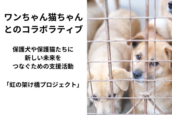 保護犬や保護猫たちに新しい未来をつなぐための支援活動「虹の架け橋