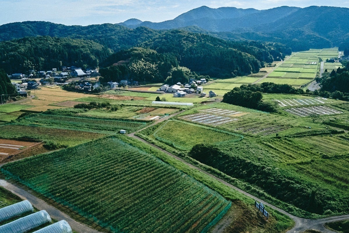 2番目のメイン画像