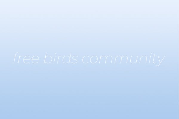 Free Birds community