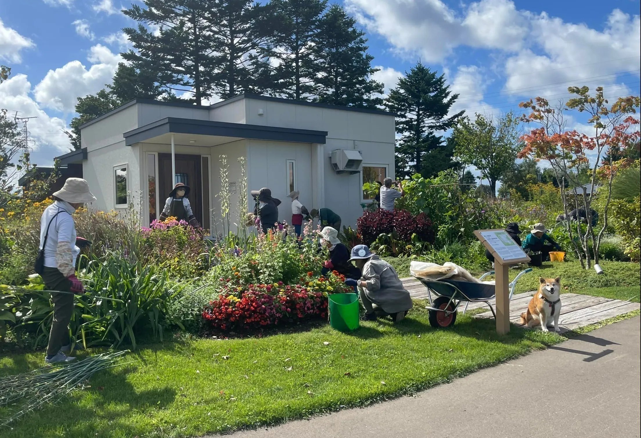 4番目のメイン画像