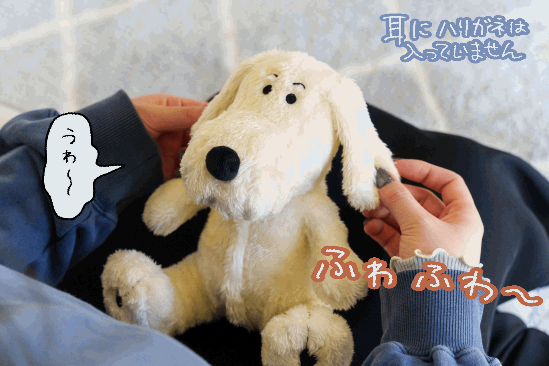 5番目のメイン画像